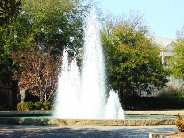 Herty Field