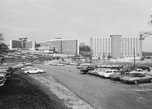 From left to right: Brumby Hall, Russell Hall, Creswell Hall