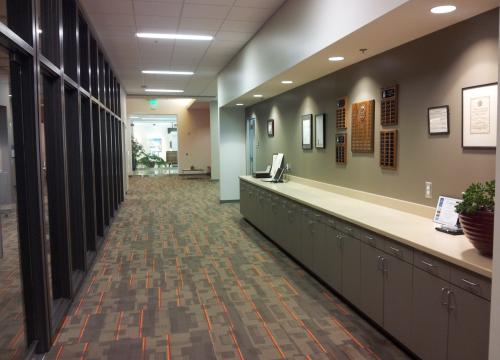 Office Suite Corridor- Millwork